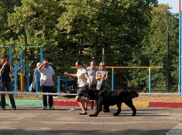 Фотография № 78234