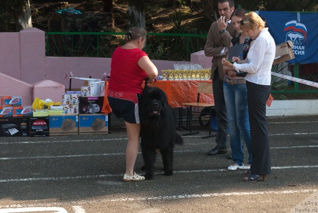 Фотография № 78237