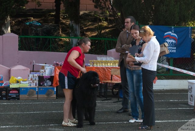 Фотография № 78238