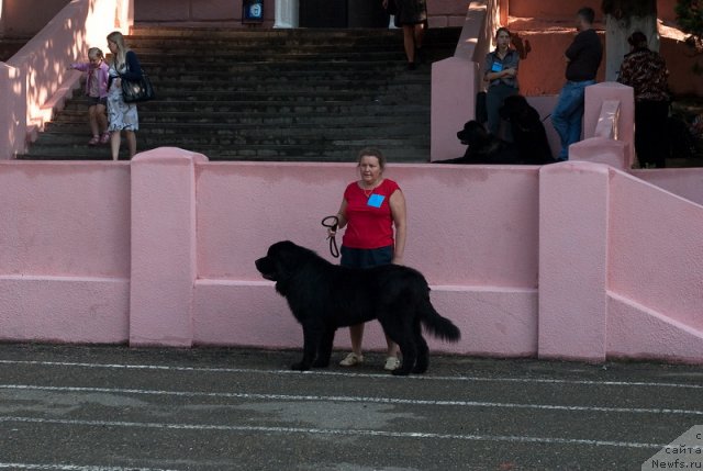 Фотография № 78239