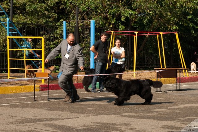 Фотография № 78240