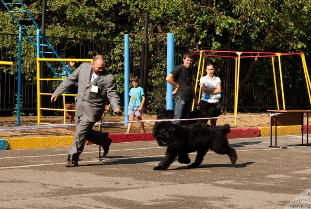 Фотография № 78241