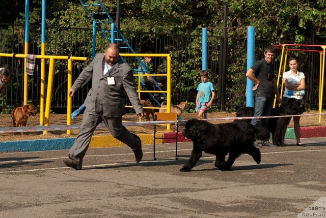 Фотография № 78242