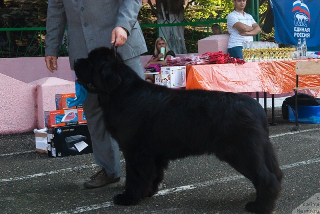 Фотография № 78244