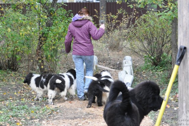 Фотография № 78246