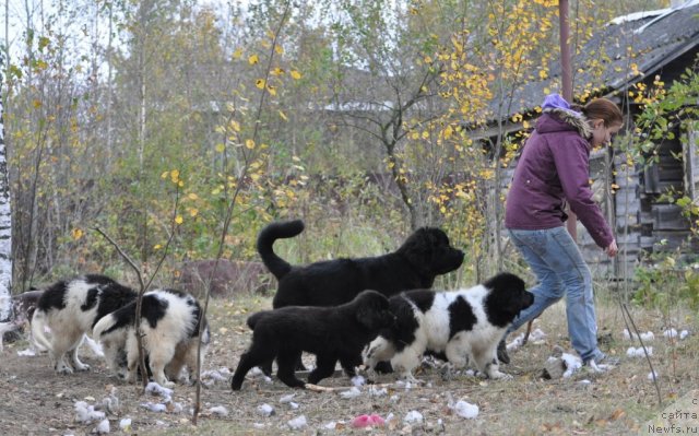 Фотография № 78252