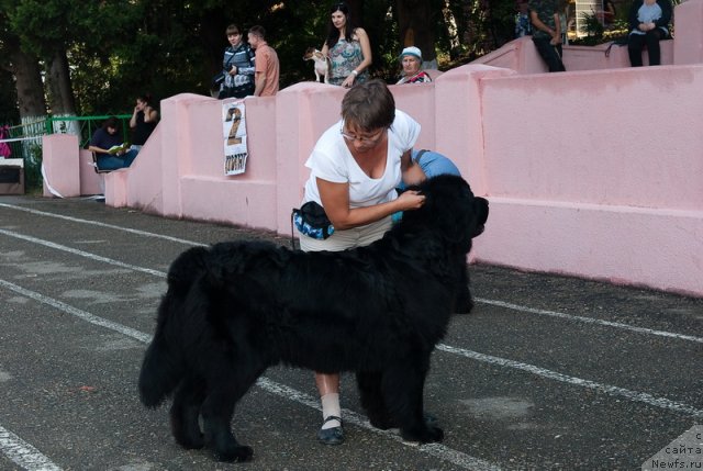 Фотография № 78256