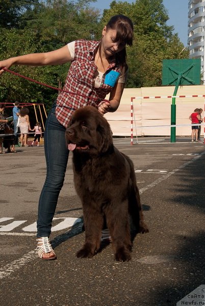 Фотография № 78259