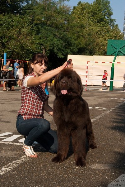 Фотография № 78261