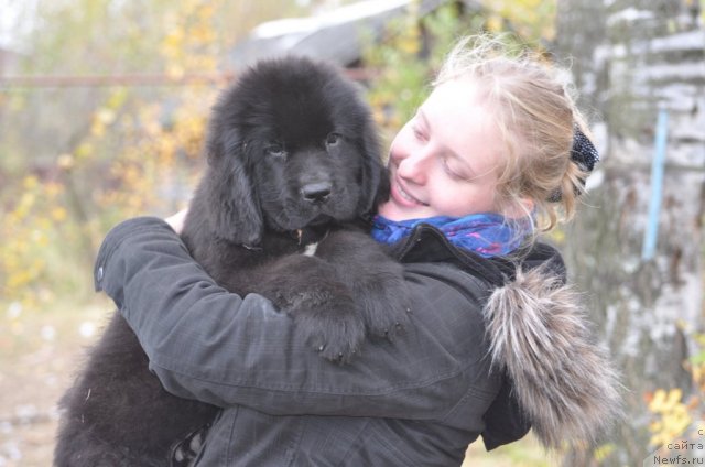 Фотография № 78263