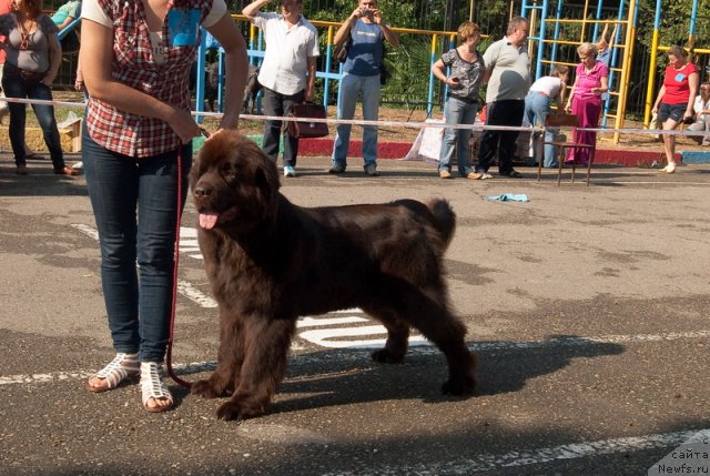 Фотография № 78264