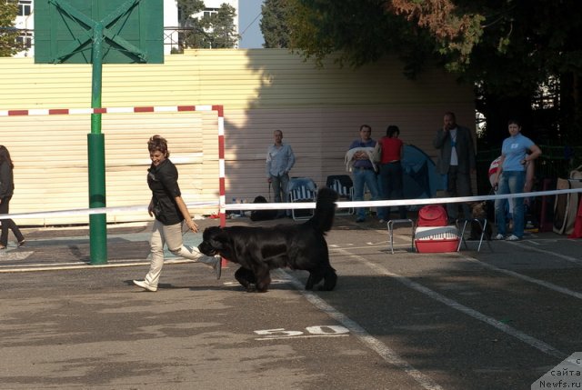 Фотография № 78268