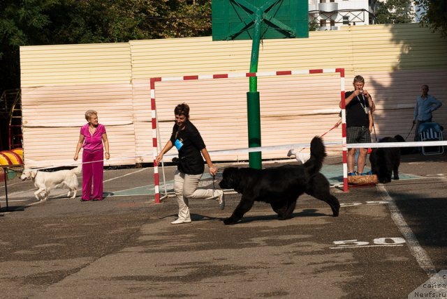 Фотография № 78270