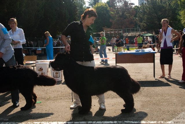 Фотография № 78271