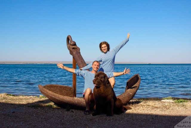 Фотография № 78448