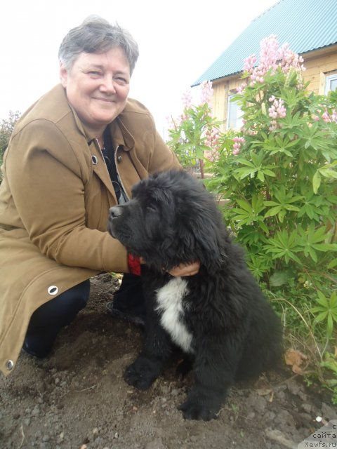 Фотография № 78459