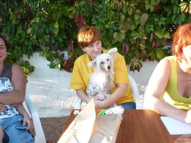 Фотография № 78475