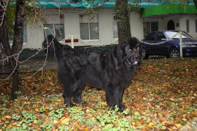 Фотография № 78504