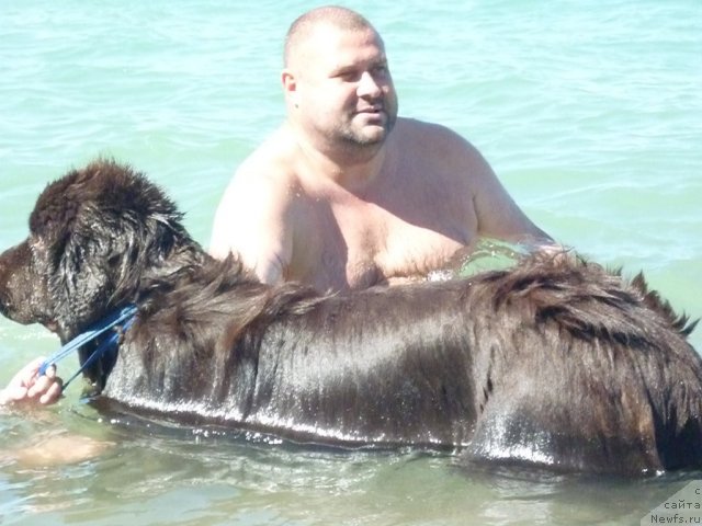 Фотография № 78522