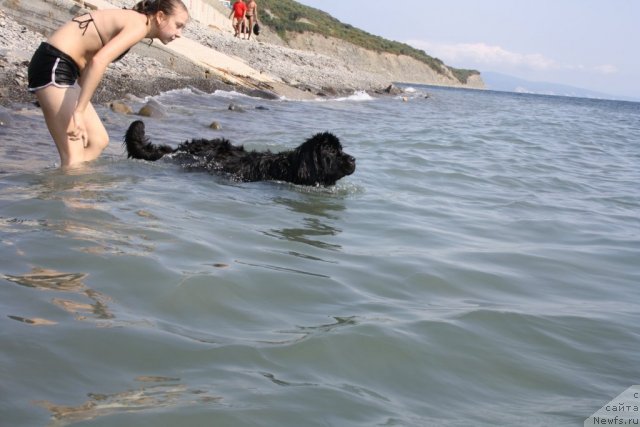 Фотография № 78550