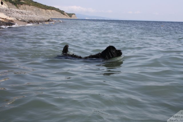 Фотография № 78551