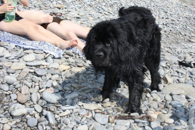 Фотография № 78552