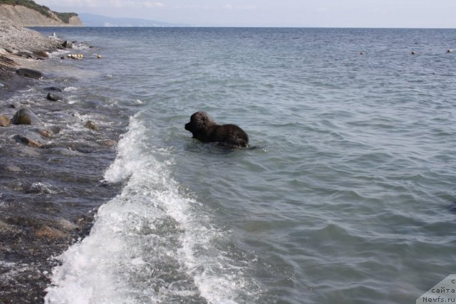 Фотография № 78553