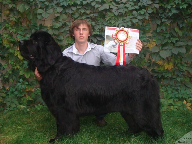 Фотография № 78561