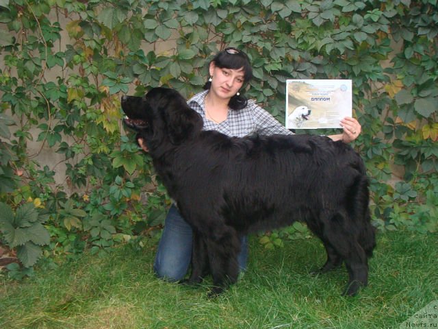 Фотография № 78563