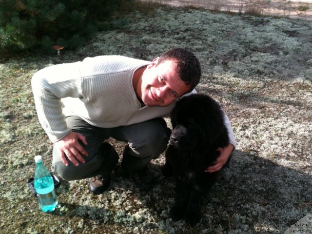 Фото: Mihail Rostov (Михаил Ростов), ньюфаундленд Sent Djons CHingizhan (Сент Джонс Чингизхан)