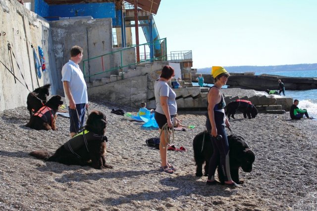 Фотография № 78605