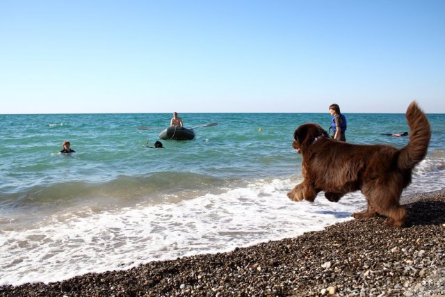 Фотография № 78606