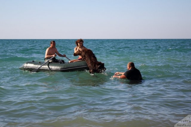 Фотография № 78613