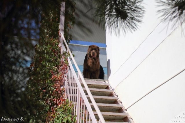 Фотография № 78614