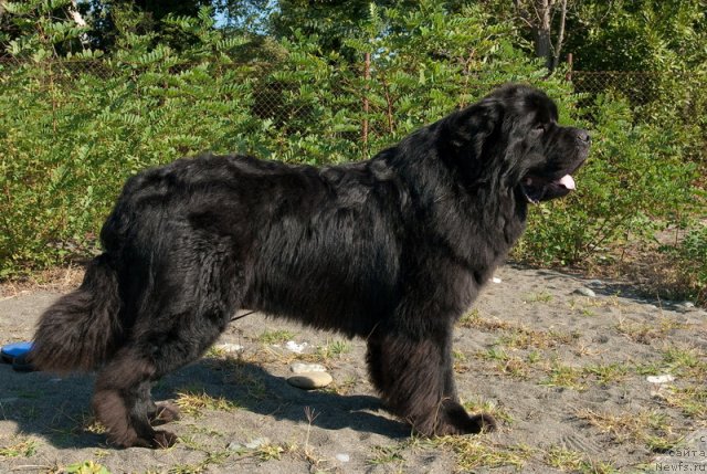 Фотография № 78641