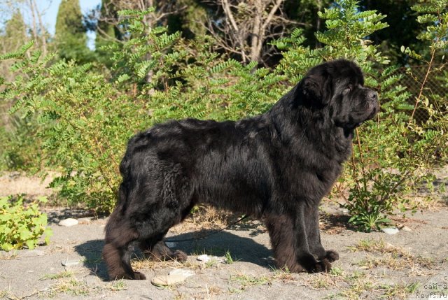 Фотография № 78642