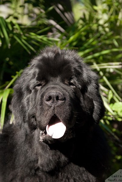 Фотография № 78644