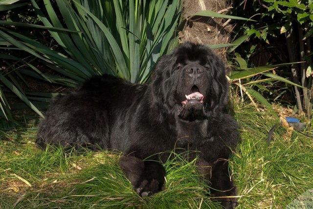 Фотография № 78646