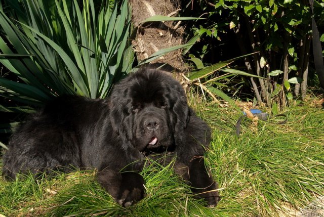 Фотография № 78647