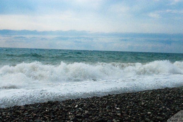 Фотография № 78649