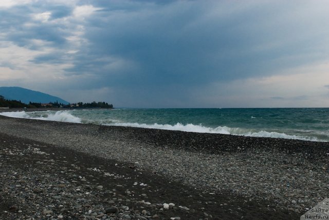 Фотография № 78650