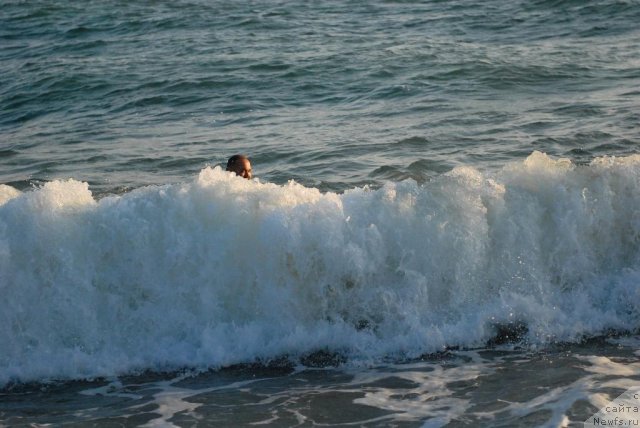 Фотография № 78659