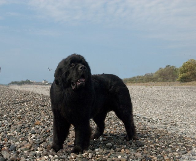 Фотография № 78660