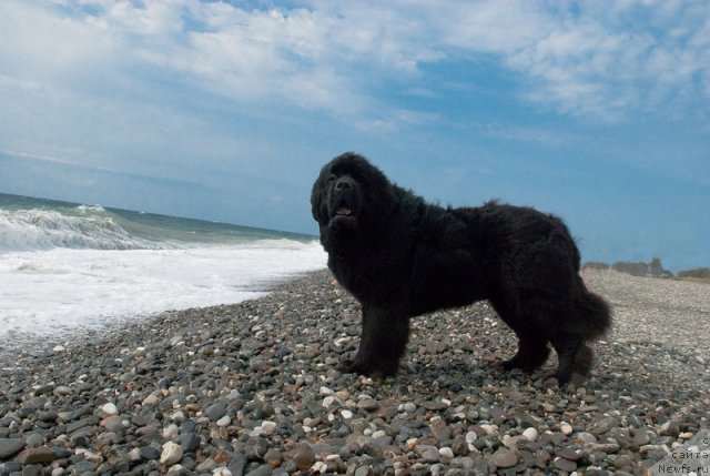 Фотография № 78661