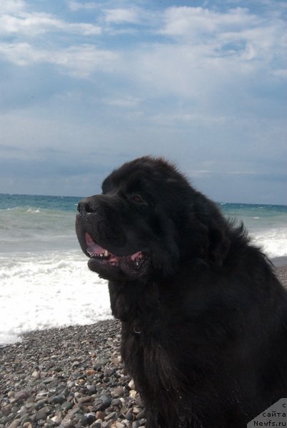 Фотография № 78662