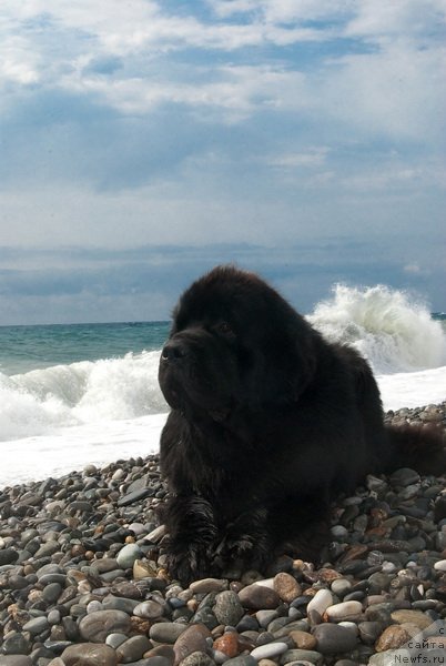 Фотография № 78663