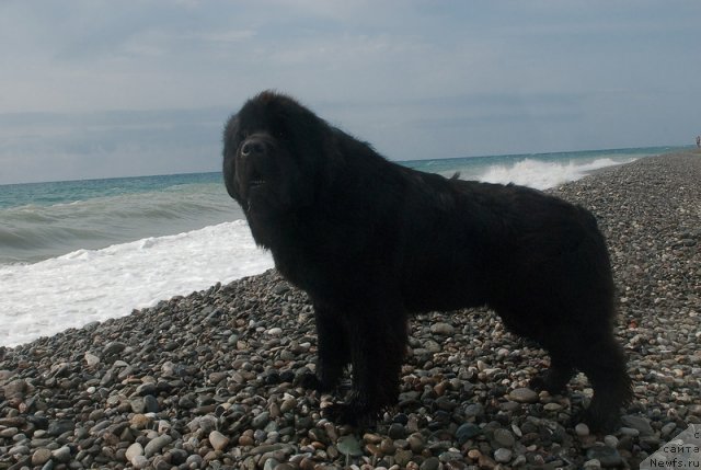 Фотография № 78664