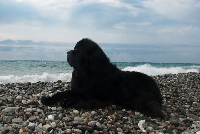 Фотография № 78665