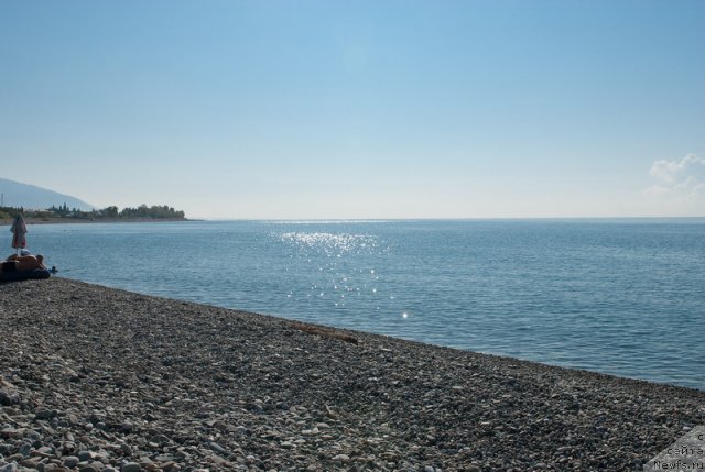 Фотография № 78666