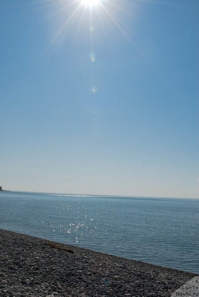 Фотография № 78667